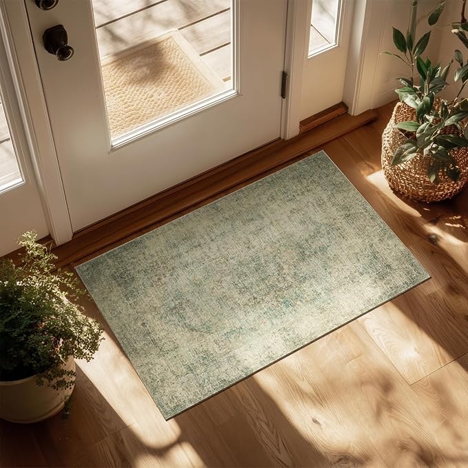 Machine Washable Area Rugs for Entryway: Door Mat Indoor Entrance 2x3 Boho Rug Vintage Distress Non-Slip Low Pile Soft Throw Carpet for High-Traffic Areas Kitchen, Hallway, Farmhouse Decor