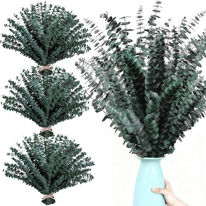 85 Pcs Dried Eucalyptus Stems, Preserved Branches for Shower, 17" | Real preserved eucalyptus for shower, vase filler, wedding décor, bathroom styling, DIY crafts and home decoration.