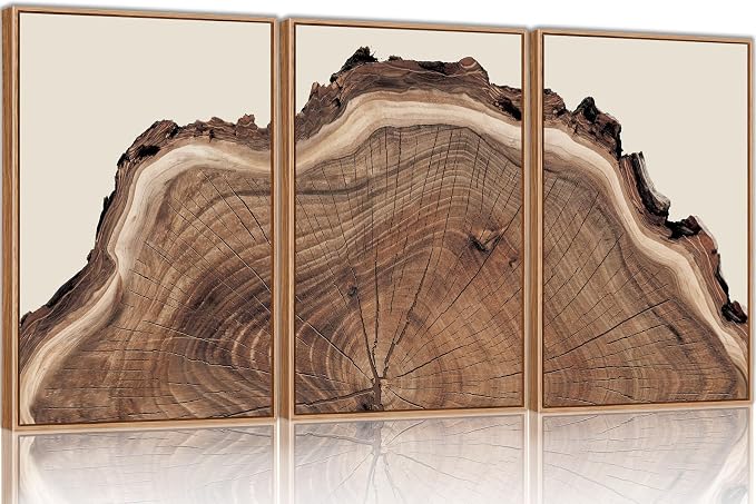 SIKERIC Framed Nature Tree Ring Wall Art, (24X36 inch) Modern Wood Stump Canvas Wall Art Set Of 3,Large Wood Tree Spiral Art Prints, Abstract Wall Painting for Living Room, Bedroom, Office