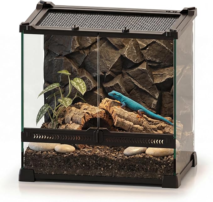12"x8"x12" Reptile Terrarium, Double-Door Glass Arboreal Vivarium for Small Climbing Lizards Such as Juvenile Agamas, with Lock, Cable Port & Waterproof Deep Base Below Front Doors