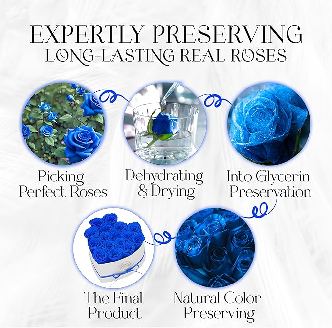 GLAMOUR BOUTIQUE Preserved Roses in a Box - Gifts for Her, Wife & Mom, Rose Flowers Forever Decor for Birthday Gift, Get Well Flower Bouquet Cased in White Box with Cover, Blue, 16 (Color-Treated)