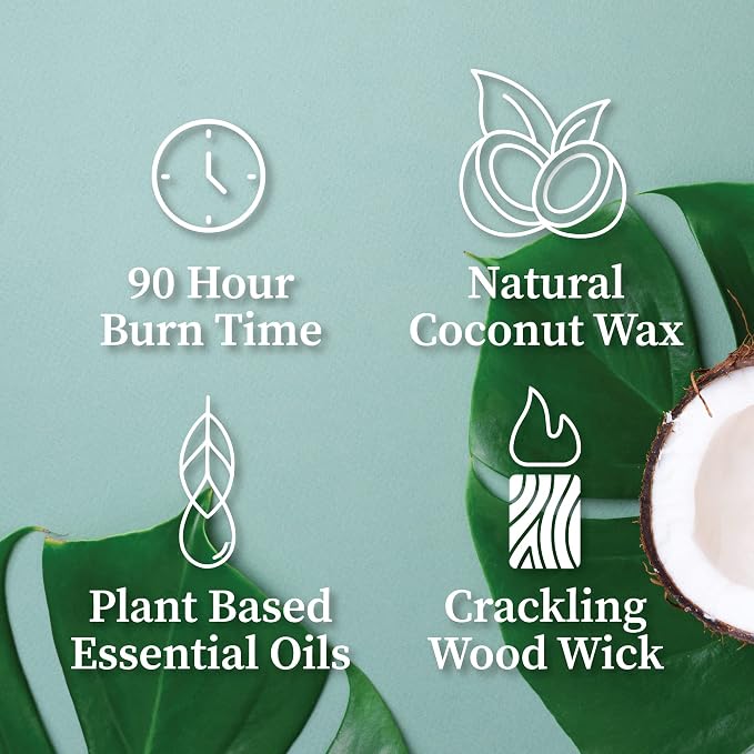 Hemlock Park Desert Prickly Pear Apothecary Scented Candle | Crackling Wood Wick, Botanical Fragrance & Coconut Apricot Wax | Up to 80 Hour Burn Time | 16 oz | Made in USA