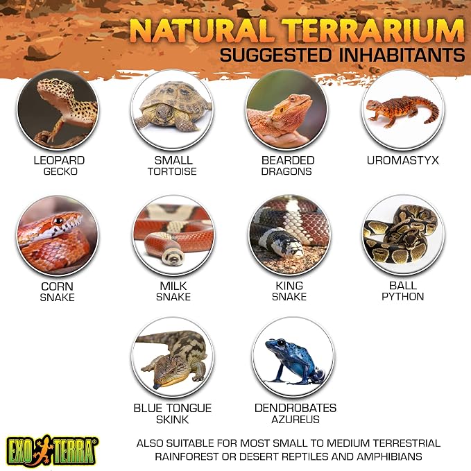 Exo Terra Glass Terrarium Kit, for Reptiles and Amphibians, Nano, 8 x 8 x 8 inches, PT2599A1