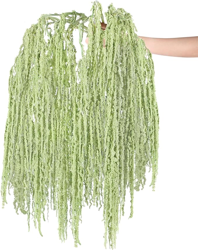 Suncalla 12 Pcs Light Green Spring Natural Dried Amaranthus Hanging Flowers Amaranthus Artificial Flowers for Wedding Arch Bouquet Floral Garland Wall Home Decoration (23 Inch)