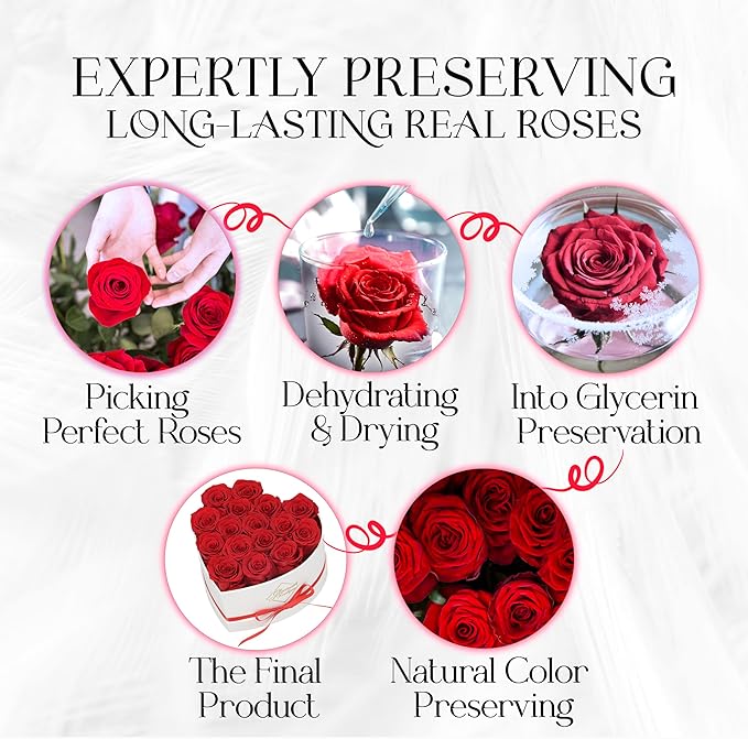 GLAMOUR BOUTIQUE Preserved Roses in a Box - Gifts for Her, Wife & Mom, Rose Flowers Forever Decor for Birthday Gift, Get Well Flower Bouquet Cased in White Box with Cover - Red - 16 (Color-Treated)