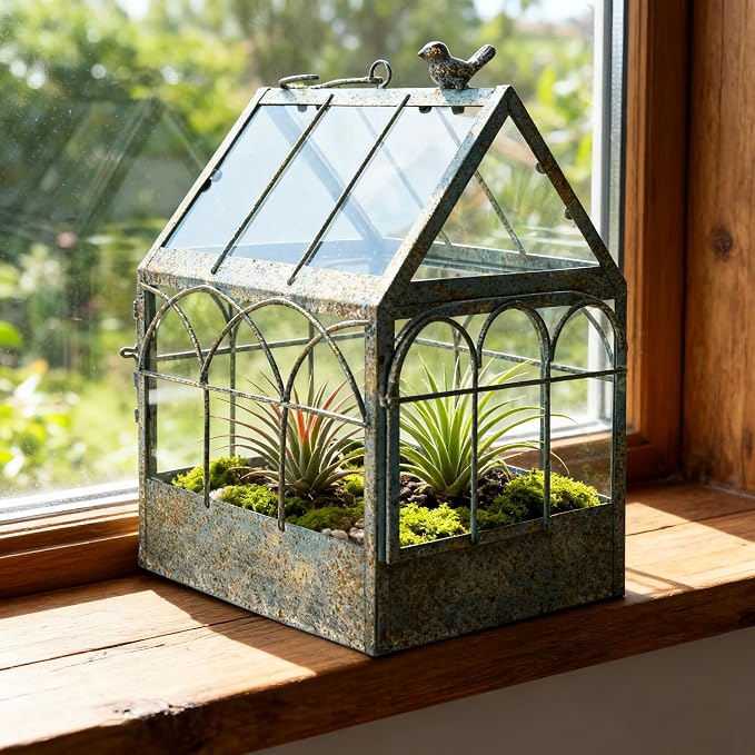 Large House Shape Glass Terrarium with Lid, Geometric Greenhouse - Style Planter for Ferns, Succulents, Air Plants, Handmade Indoor Tabletop Decor (Terrarium Only)