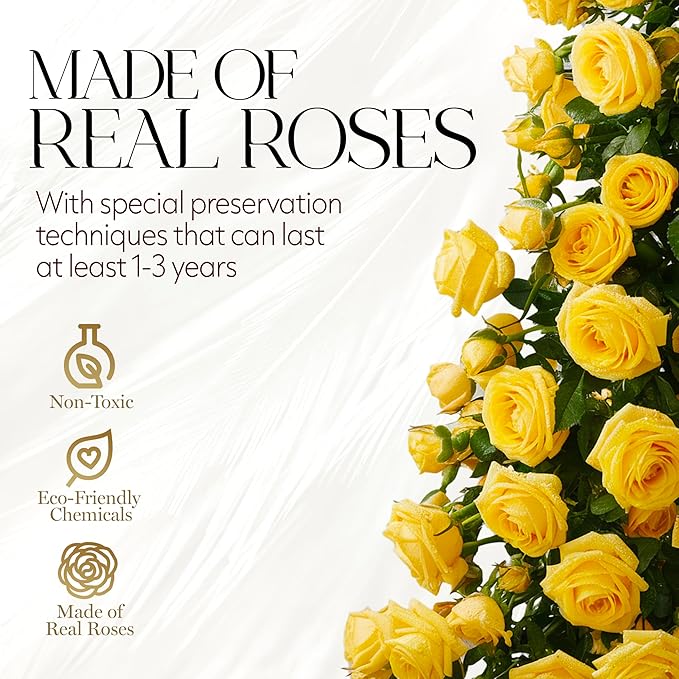 GLAMOUR BOUTIQUE Flowers Forever Gift Box, 12 Real Preserved Roses in Velvet Box, Floral Gift for Her, Mom or Wife for Birthday, Mother’s Day, Anniversary or Graduation, Yellow (Color-Treated)