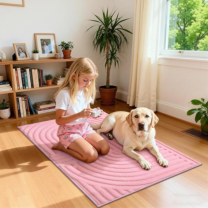 Pauwer Pink Area Rug for Girls Bedroom 2x3 Soft Fluffy Non Slip Machine Washable Rugs Arch Modern Indoor Mat Fuzzy Floor Carpet for Kids Nursery Living Room Dorm Playroom Dining Baby Home Decor