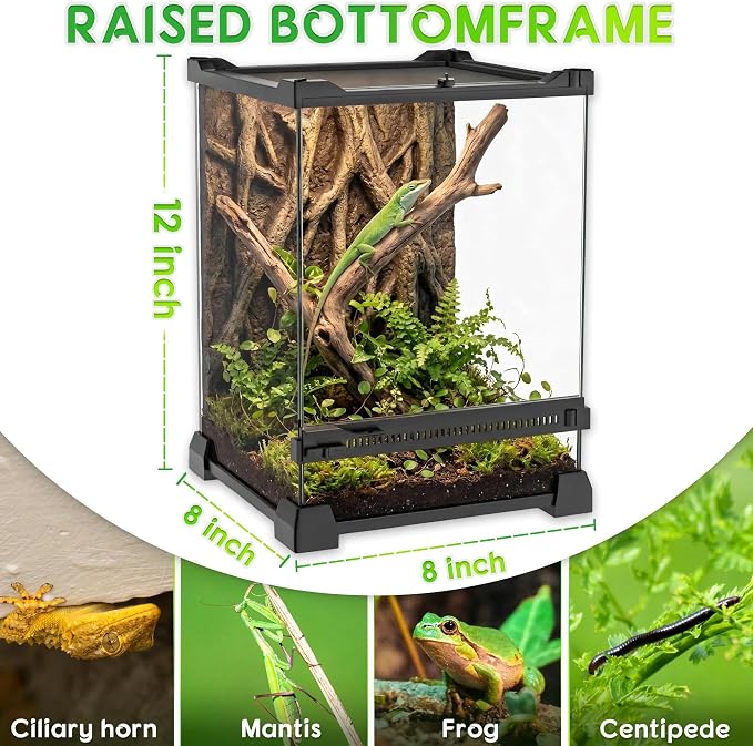 8"x8"x12" Reptile Terrarium, Single-Door Glass Arboreal Vivarium for Small Arboreal Lizards Such as Small Day Geckos, with Lock, Cable Port & Waterproof Deep Base Below Front Door