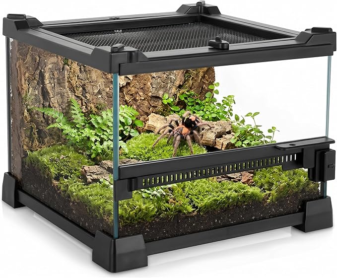 8"x8"x6" Reptile Terrarium, Single-Door Glass Terrestrial Vivarium for Small Arthropod Pets Such as Trinidad Dwarf Tiger Tarantulas, with Lock & Waterproof Deep Base Below Front Door