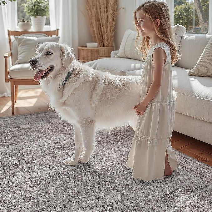 DCX Gray 8x10 Rug, Kid & Pet Friendly with Rubber Back Non Slip, Machine Washable Stain Resistant Vintage Traditional Distressed Carpet, Rug for Living Room, Bedroom, Home Decor