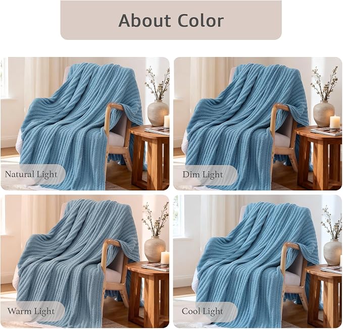 WRENSONGE Soft Twin Blanket for Bed-Cozy Warm Reversible Knitted Blankets | Lightweight Fluffy Decor for Women, Mom, Her & Girls, Sofa, Chair, Couch, 60x80in, Blue