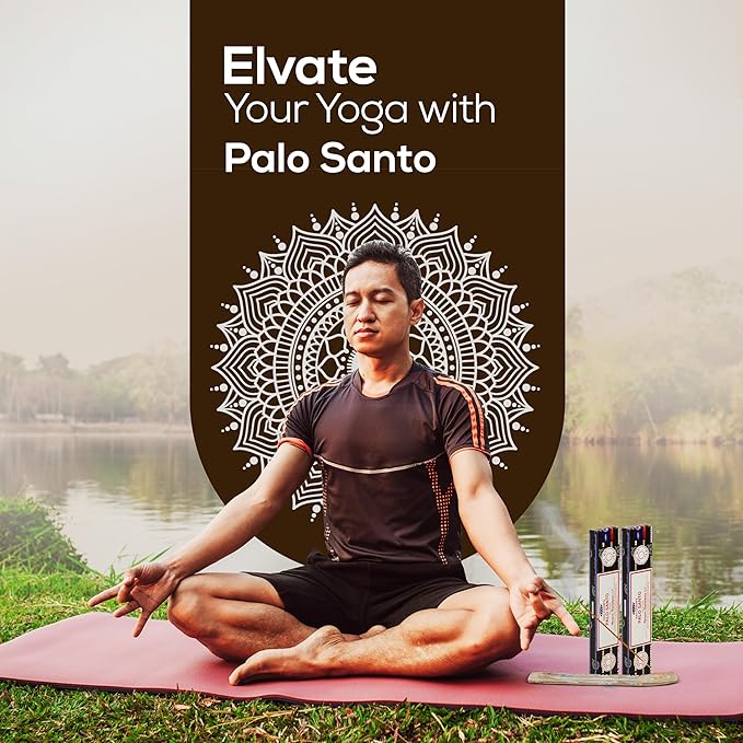 Satya Palo Santo Incense Sticks, Satya sai Baba Insenses 15gmx12 Pack with Raajsee Incense Holder Bundle, Satya Nag Champa Natural Incense
