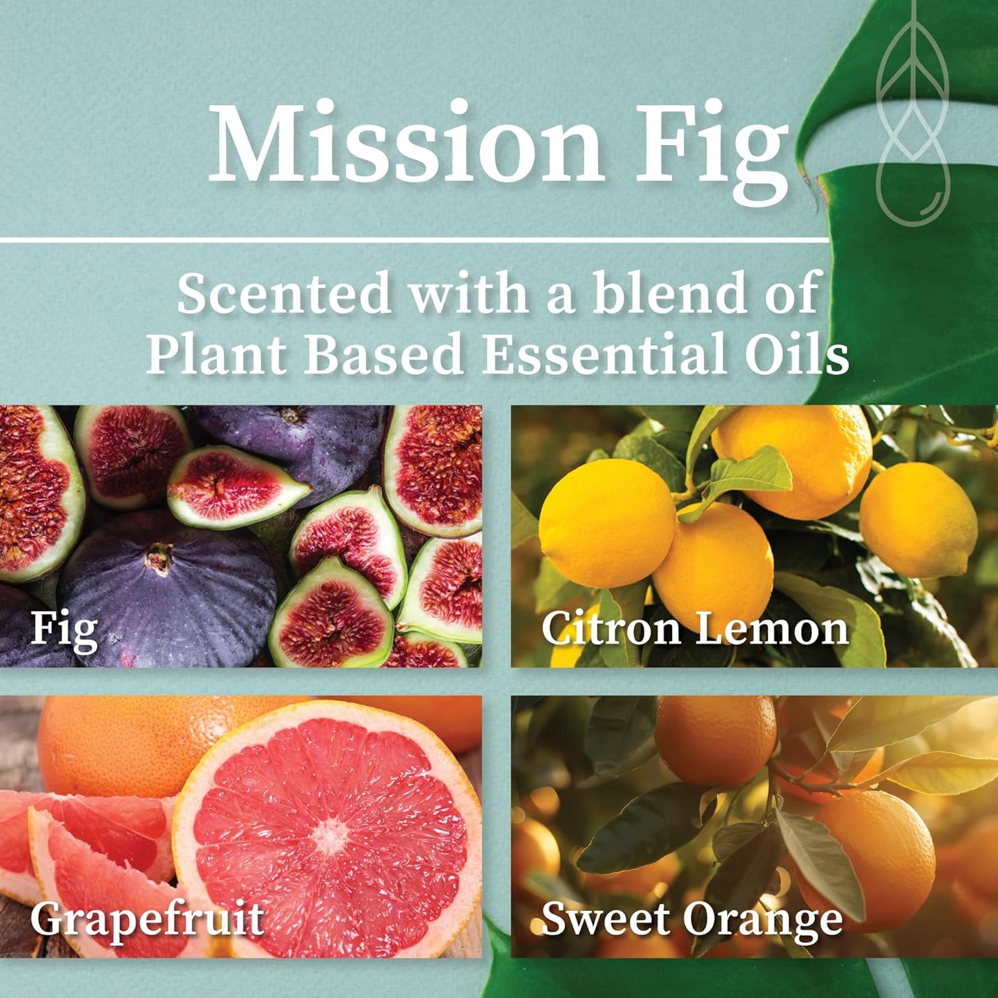 Hemlock Park Wood Wick Candle Handcrafted with Natural Coconut Wax and Essential Oils (Amber & Gold 7.2 oz, Mission Fig)