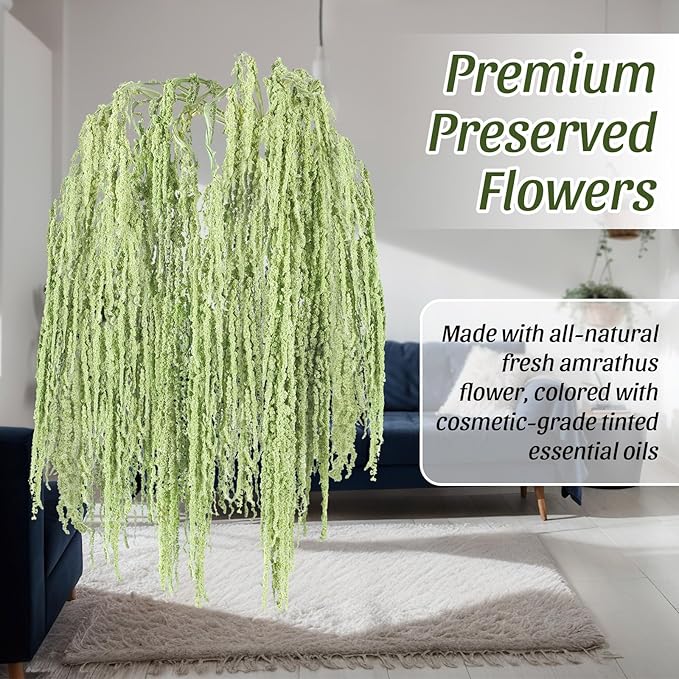 Suncalla 12 Pcs Light Green Spring Natural Dried Amaranthus Hanging Flowers Amaranthus Artificial Flowers for Wedding Arch Bouquet Floral Garland Wall Home Decoration (23 Inch)