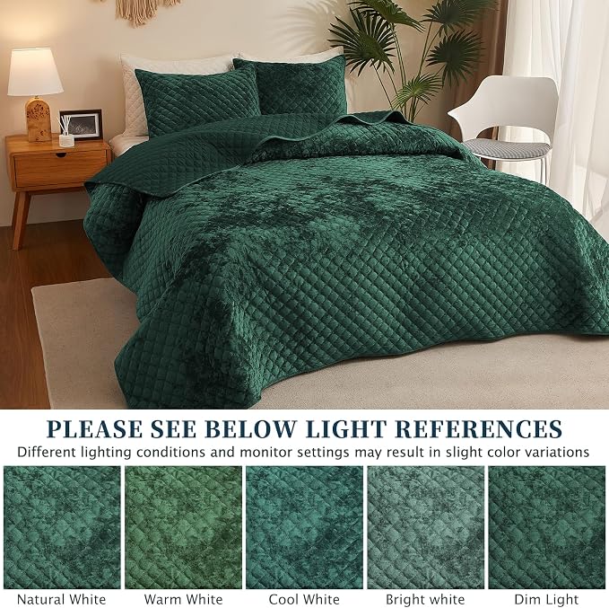 Luxury Soft Velvet Quilt Set Queen Size - Lightweight Velvet Bedding Set for All Season, Oversized Bedspread Coverlet Comforter Set with 2 Pillow Shams, Green, Diamond