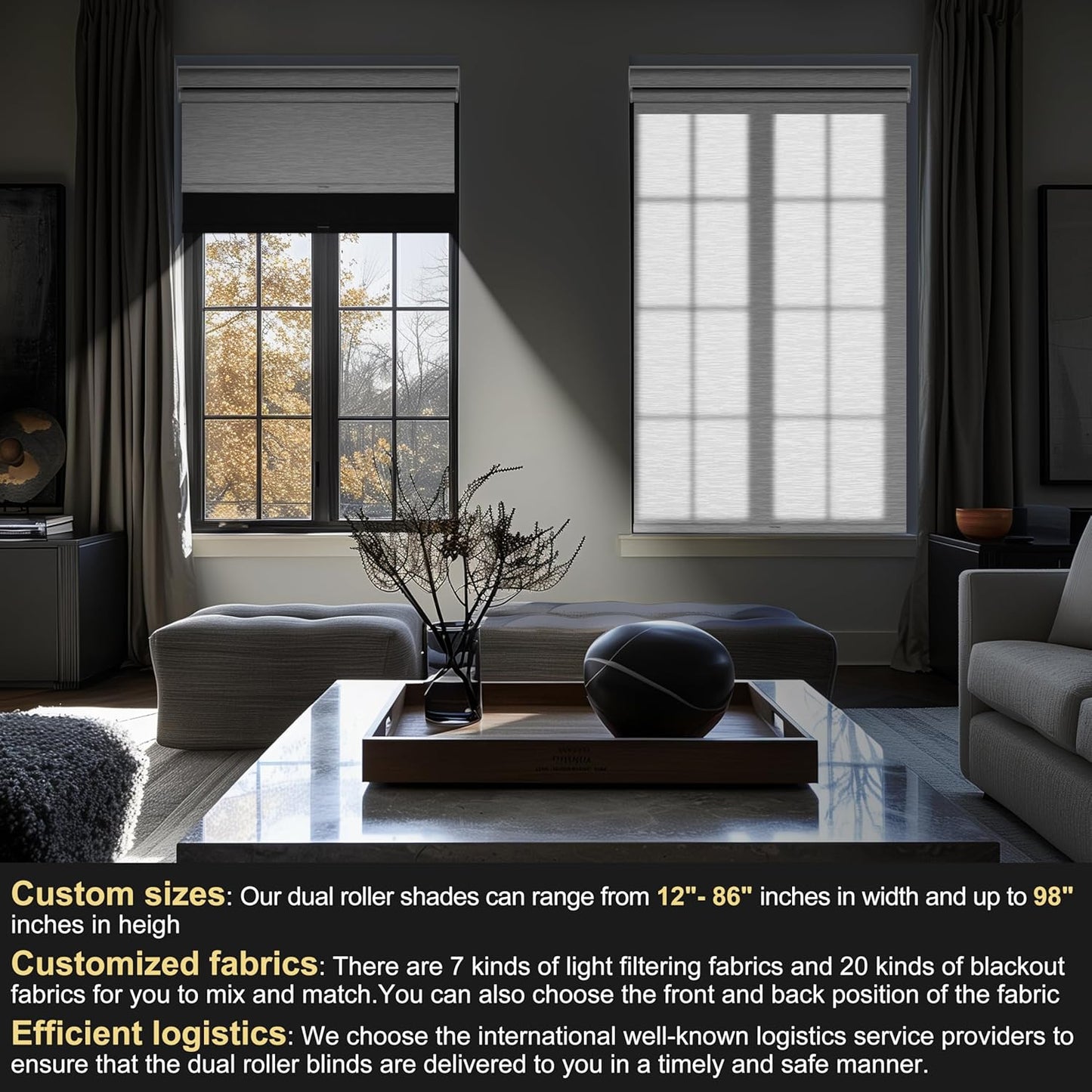 BERISSA Cordless Dual Roller Shades with Cassette Valance,Double Window Shades Blackout and Light Filtering Shades,Day and Night Roller Shades for Home Office Door.Linen Black and White.28 W x 56" H