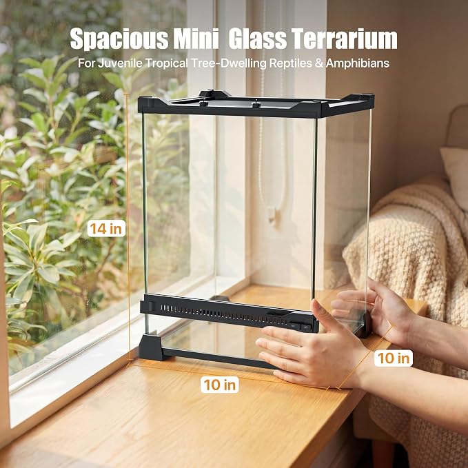 6 Gallon Fully Assembled Glass Reptile Enclosure,10"x 10" x 14" | Front Opening Tall Reptile Terrarium Tank for Baby Crested Geckos, Tree Frogs, Praying Mantises, Jumping Spiders