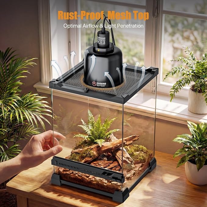 3 Gallon Fully Assembled Glass Reptile Enclosure, 8"x 8" x 12" | Tall Vertical Front-Opening Small Terrarium Tank for Hatchling & Juvenile Arboreal Reptiles & Amphibians