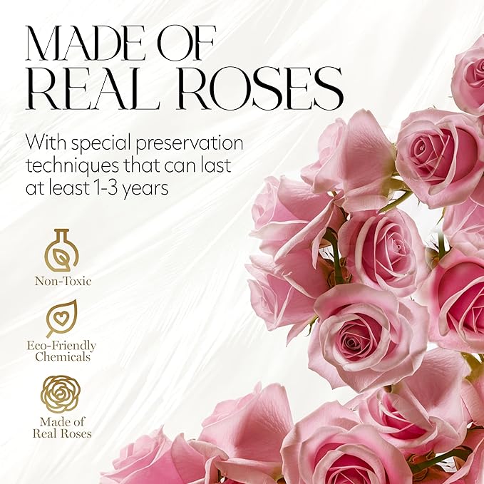GLAMOUR BOUTIQUE Flowers Forever Gift Box, 12 Real Preserved Roses in Velvet Black Box, Floral Gift for Her, Mom or Wife for Birthday, Mother’s Day, Anniversary or Graduation, Pink (Color-Treated)