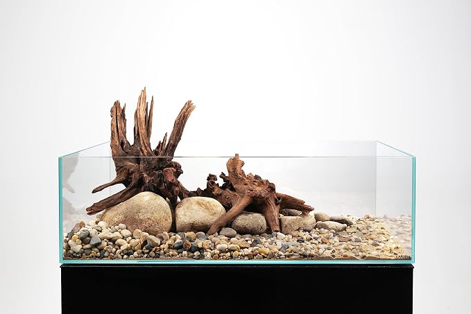 LANDEN Panna Natural Driftwood for Aquarium Decor Freshwater Fish Tank(12-16 inches, 30-40cm) 4pcs Terrariums Vivariums Reptile and Amphibian Enclosures Lizard Bearded Dragon Tortoise Various Shapes