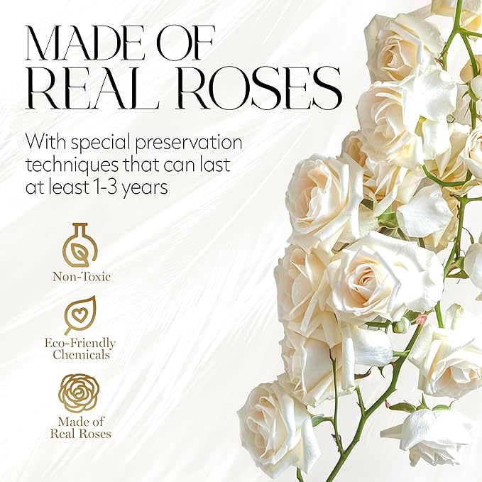 GLAMOUR BOUTIQUE Flowers Forever Gift Box, 12 Real Preserved Roses in Velvet Black Box, Floral Gift for Her, Mom or Wife for Birthday, Mother’s Day, Anniversary or Graduation, White (Color-Treated)