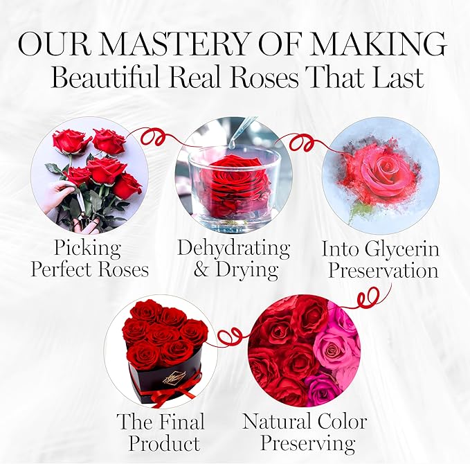 GLAMOUR BOUTIQUE 7 Flower Forever Heart Shape Box, Eternal Preserved Roses Gift for Her, Lasting Flowers, Petite Floral Heart Box for Birthday, Anniversary or Valentine’s Day, Red (Color-Treated)
