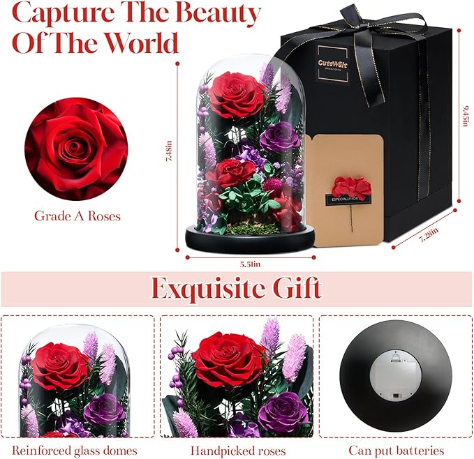 Preserved Roses,Forever Fresh Flowers 7.48in,Gift for Women,Mom,Grandma,Wife,Girlfriend,Sister,and Daughter Perfect for Birthday,Mother’s Day,Valentine’s Day (Mystic Purple2)