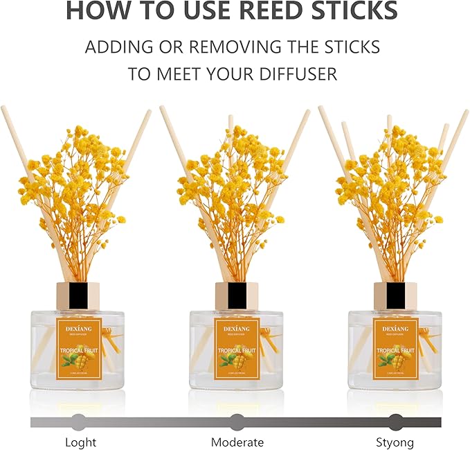 Reed Diffuser Set - 3.38 fl oz Tropical Fruit Premium Scented Oil with Preserved Baby's Breath & Cotton 6 Sticks | Long-Lasting Aromatherapy for Home, Bedroom, Bathroom, Office Home Decor