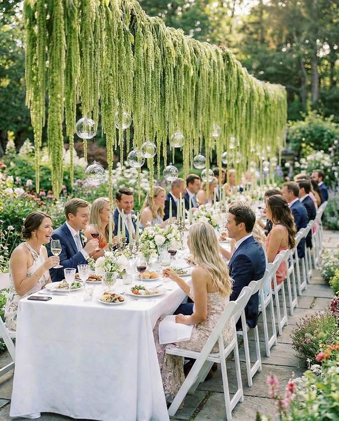 Silva Loup 12pcs Natural Dried Wisteria Hanging Flowers 30" - Bleached Green Vine for Wedding Bouquets, Wall Decor | Shedding Note & Mess-Free Use Tips Included