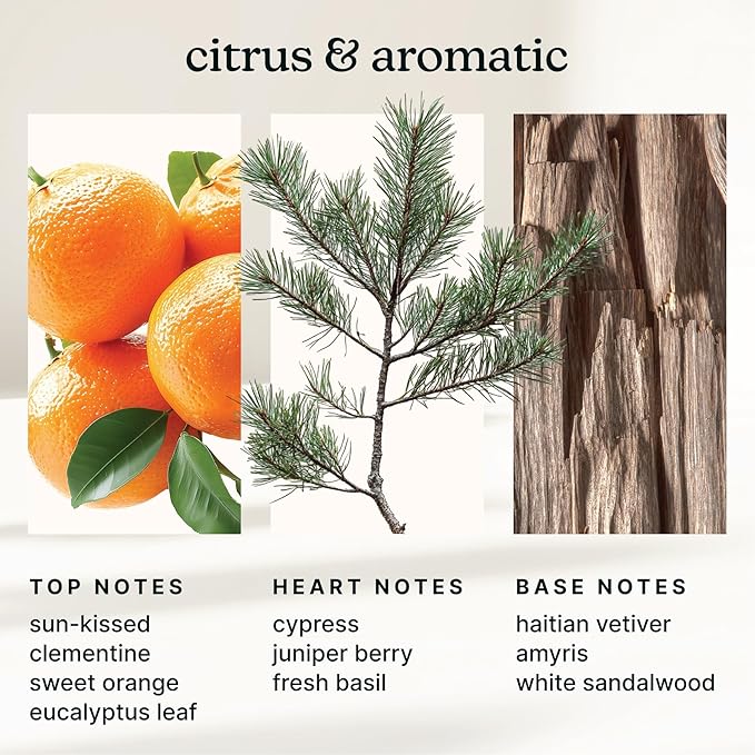 Homedics SereneScent Waterless Diffuser Oil Refill — Autumn Breeze (120ml). Clean, Safe & Fresh Botanical Spa Fragrance. Compatible with SereneScent Diffusers. Easy Twist Plug & Play.