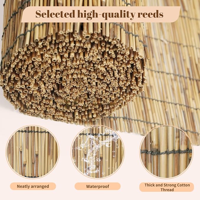 Reed Roller Shades, 48" W x 72" H Waterproof Privacy Screen Bamboo Outdoor Blind, Reed Curtain for Porch, Patio, Yard, Windows (Natural)