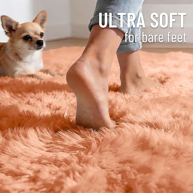 OLANLY Area Rugs for Living Room Bedroom, Machine Washable 4x5.9 ft Soft Fluffy Shaggy Bedside Rug, Indoor Floor Carpet for Kids Girls and Boys, Dorms, Nursery Rooms, Home Decor, Muted Orange