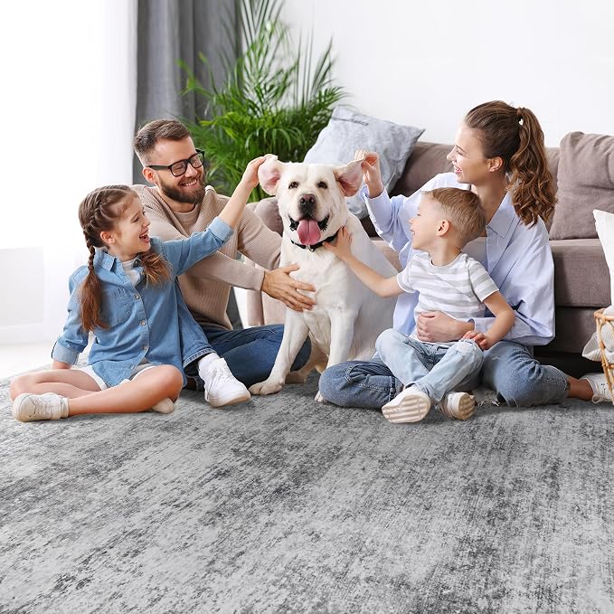6x9 Area Rugs for Living Room Rug Washable: Modern Rug for Dining Room Bedroom Carpet Non Slip Low Pile 6 by 9 Indoor Abstract Nursery Home Office Grey
