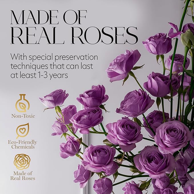 GLAMOUR BOUTIQUE Flowers Forever Gift Box, 12 Real Preserved Roses in Velvet Box, Floral Gift for Her, Mom or Wife for Birthday, Mother’s Day, Anniversary or Graduation, Purple (Color-Treated)