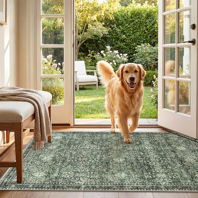 Sasttie 3x5 Rug, Ultra-Soft Washable Rug, Low Pile Foldable Thin Carpets with Non-Slip Backing, Skin-Friendly Stain Resistant Carpet for Living Room, Bedroom, Kitchen, Dorm, 3x5, Dark Green