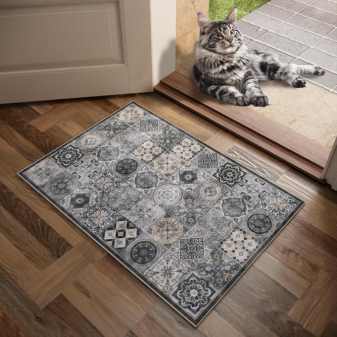 Machine Washable Entryway Small Area Rugs: Soft Non-Slip Low Pile Door Mat Indoor Entrance 2x3 ThrowRug for High-Traffic Areas Kitchen, Hallway, Farmhouse Decor