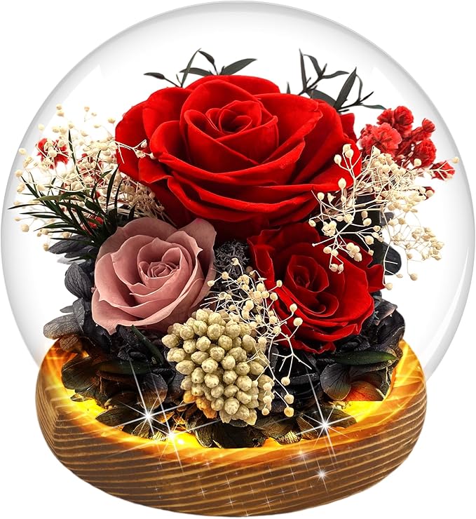 MOKOQI Red Rose Mothers Day Gifts for Mom Forever Rose Flowers for Delivery Prime Preserved Flowers in Glass Dome | Birthday Gifts for Women Mom Wife Grandma