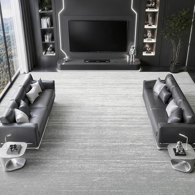 LIANLAM 6x9 Silver Infused Self-Cleaning Rug for Living Room (6x9,Silver) | NASA-inspired silver infused fabric washable rug,long-lasting surface freshness, low-pile minimalist versatile home decor