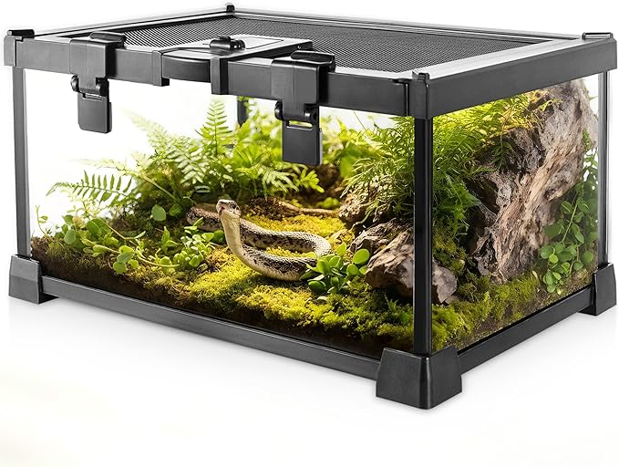 12"x8"x6" Reptile Terrarium, Escape-Proof Glass Top-Opening Vivarium for Small Terrestrial Snakes Such as Garter Snakes, with Escape-Proof Lock & Feeding Hatch