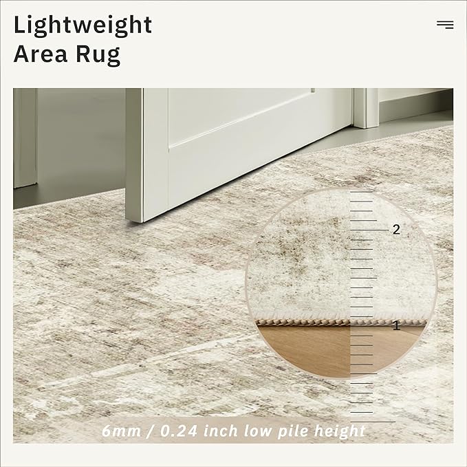 Soalmost 4x6 Area Rugs for Living Room, Vintage Washable Rugs for Dining Room, Bedroom, Home Office Decor, Non-Slip Beige/Gray Carpet Thin Rug