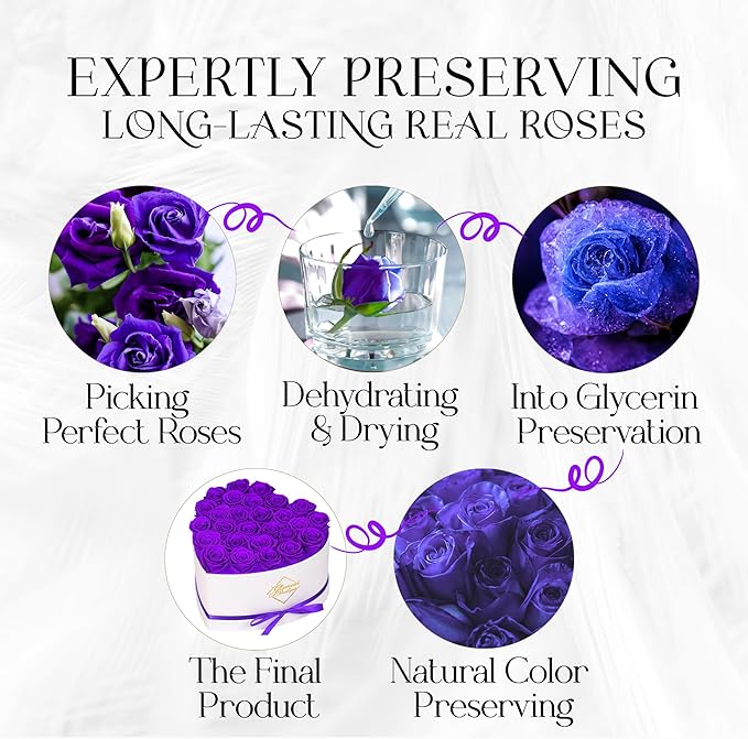 GLAMOUR BOUTIQUE Preserved Roses in a Box - Gifts for Her, Wife & Mom, Rose Flowers Forever Decor for Birthday Gift, Get Well Flower Bouquet Cased in White Box with Cover - Purple - 27 (Color-Treated)