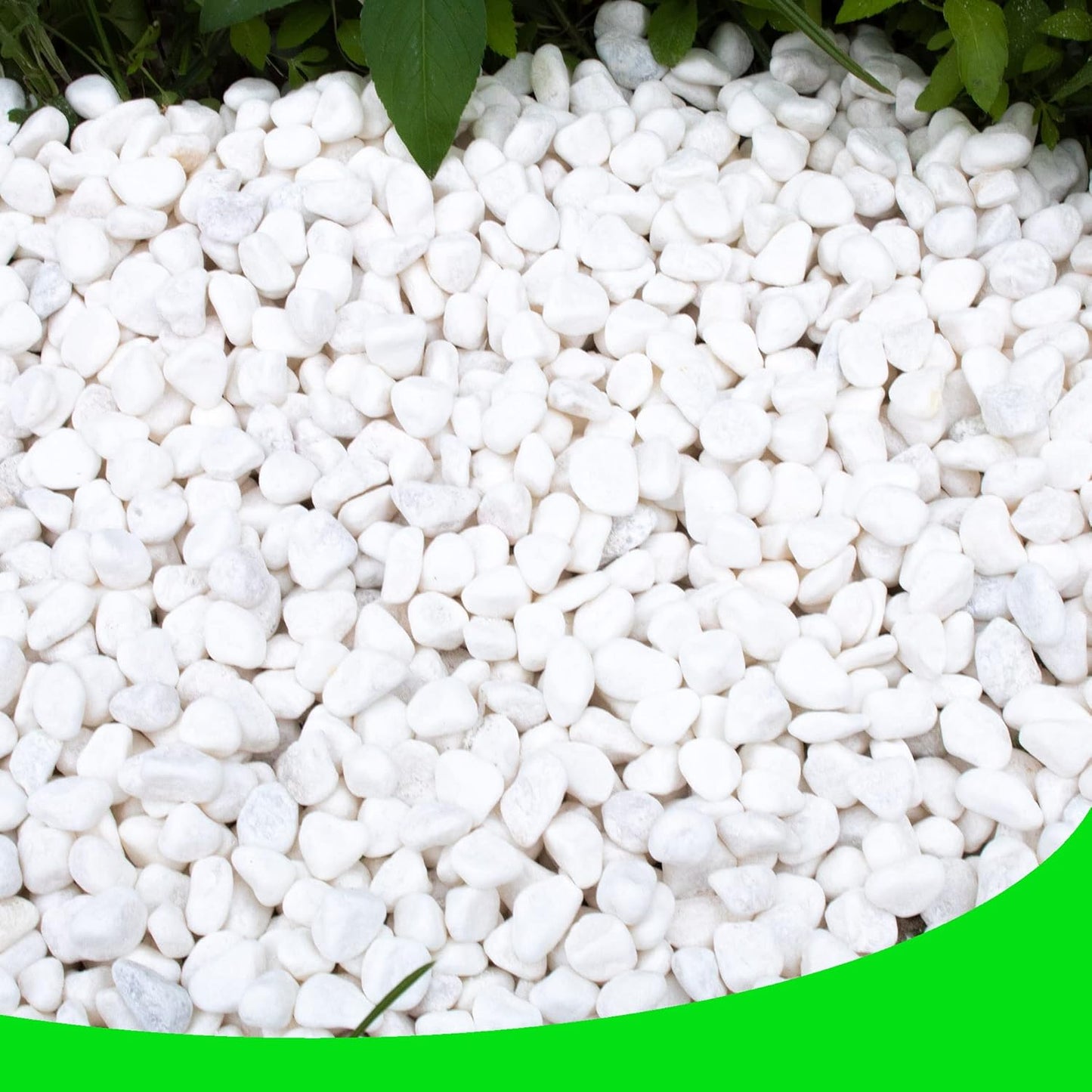White Pebbles for Plants Garden 18 lb White Rocks Gravel Decorative Stones Landscaping Vase Fillers 1/2"