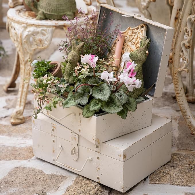 Vintage Metal Storage Trunks - Set of 2, Antique Decorative Storage Chests with Lids, Decorative Suitcase Boxes, Vintage Suitcases for Keepsakes and Home Decor, White