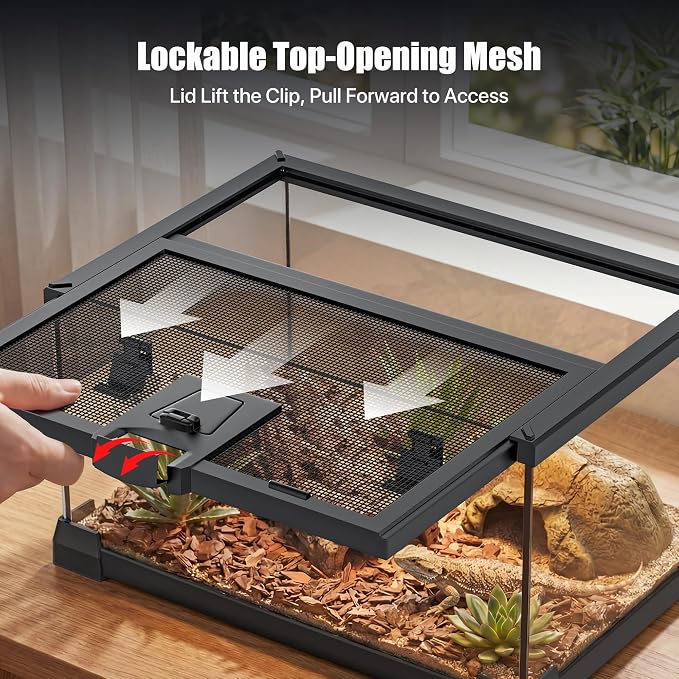 2.5 Gallon Fully Assembled Glass Reptile Enclosure, 12" x 8" x 6" | Small Reptile Terrarium Tank for Tiny Terrestrial Reptiles, Amphibians & Invertebrates