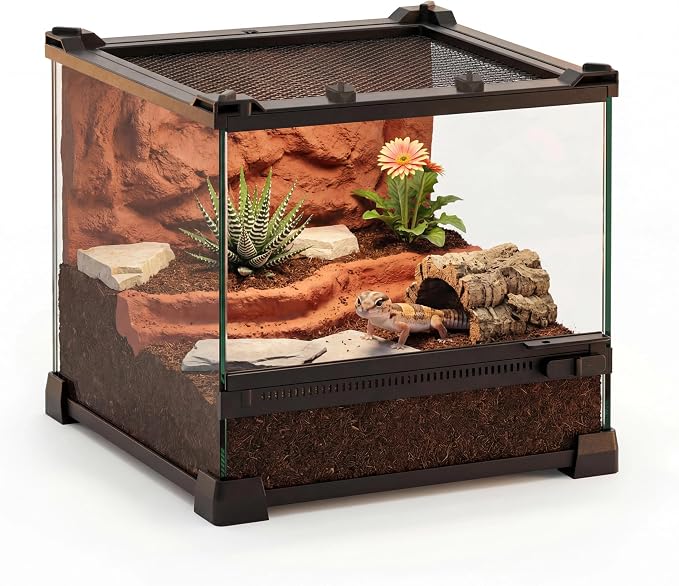 10"x10"x8" Reptile Terrarium, Single-Door Glass Terrestrial Vivarium for Small Desert Reptiles Such as Juvenile Leopard Geckos, with Lock, Cable Port & Waterproof Deep Base Below Front Door