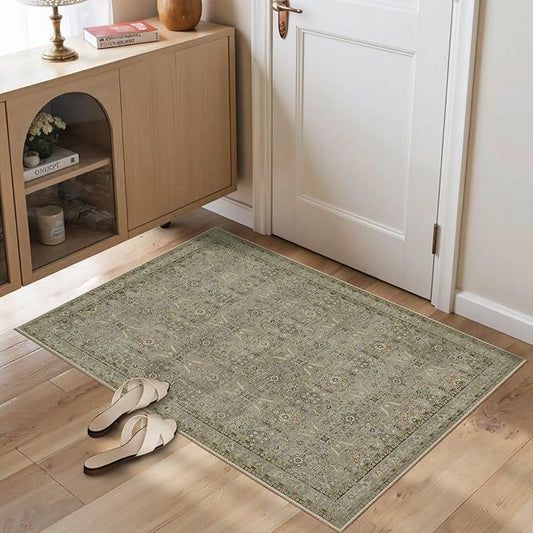 Rugxara Entryway Rug Door Mat, Washable Samll 2x3 Rug, Boho Front Door Mat, Non Slip Area Rugs, Low Pile Throw Accent Entry Carpet for Indoor Entrance, Bathroom and Kitchen(Olive/Brown 2x3ft)