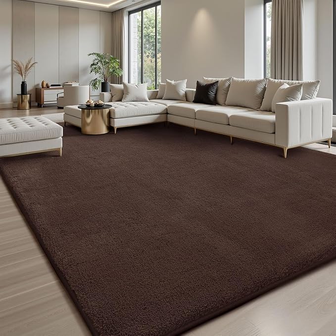Sour Lemon 4x6 Area Rugs for Living Room, Soft Area Rug Fluffy Rugs for Bedroom，Machine Washable Area Rug Non Slip Carpet Rug for Living Room Playroom Kids Room Home Decor