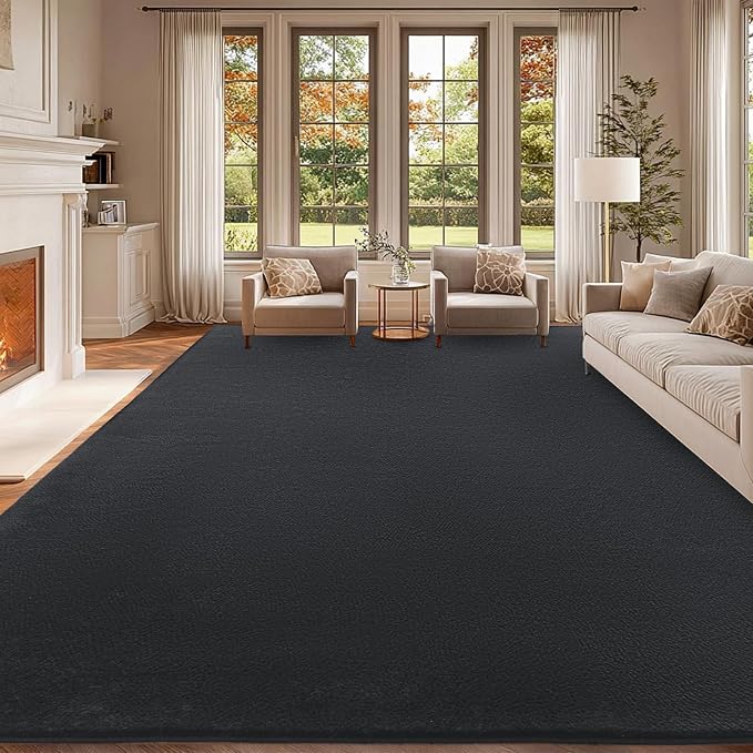 qulint 8x10 Area Rug for Living Room, Modern Large Washable Rug for Bedroom Dark Grey Thickened Memory-Foam Rug, Minimalist Solid Non Slip Carpet for Kid Room Dining Room Classroom Home Decor