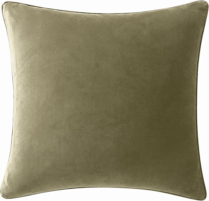 Brooklyn Loom Matte Cotton Velvet 20x20 Green Decorative Pillow